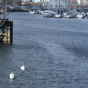 Coastal - Waterfront Swansea